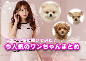 【ラウンジ嬢に聞いてみた】今人気なワンちゃんたちまとめ！
